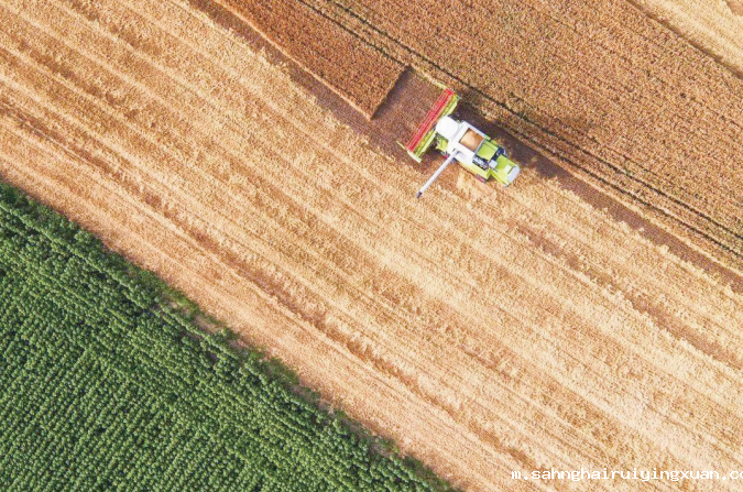 1693537725638826.png 1693537309.png