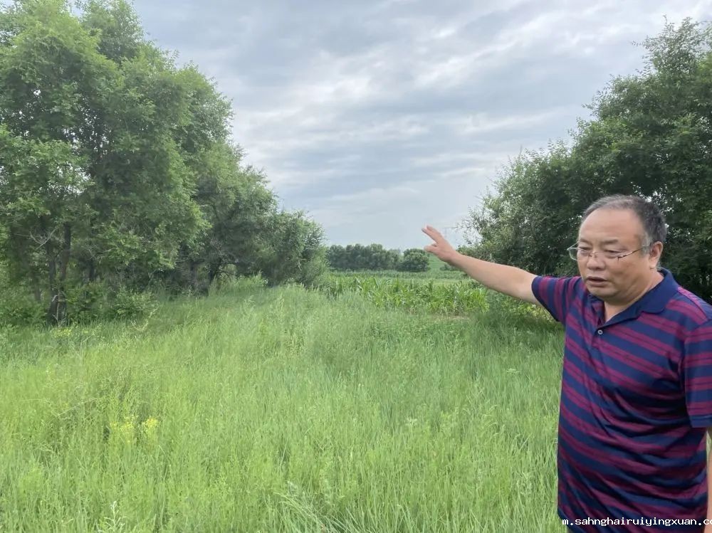 640 (1).jpg 640 (1).jpg