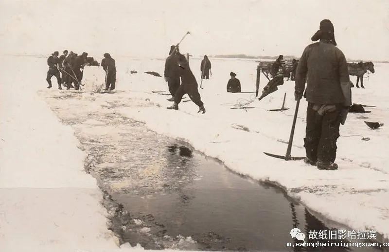 640 (4).jpg 640 (4).jpg