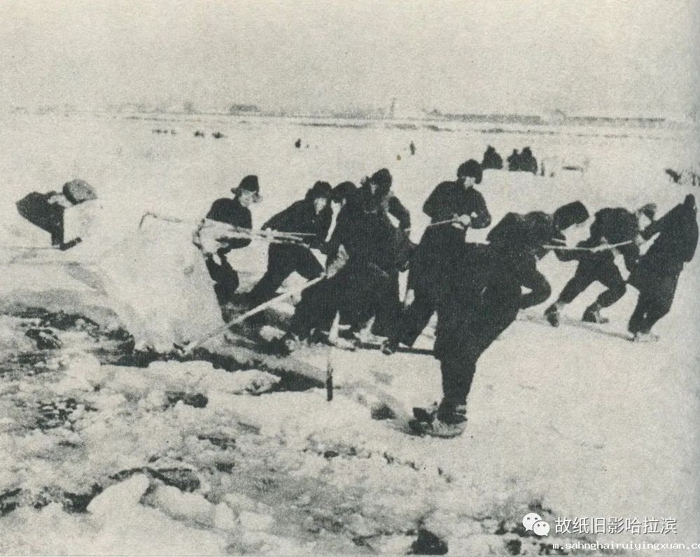 640 (6).jpg 640 (6).jpg