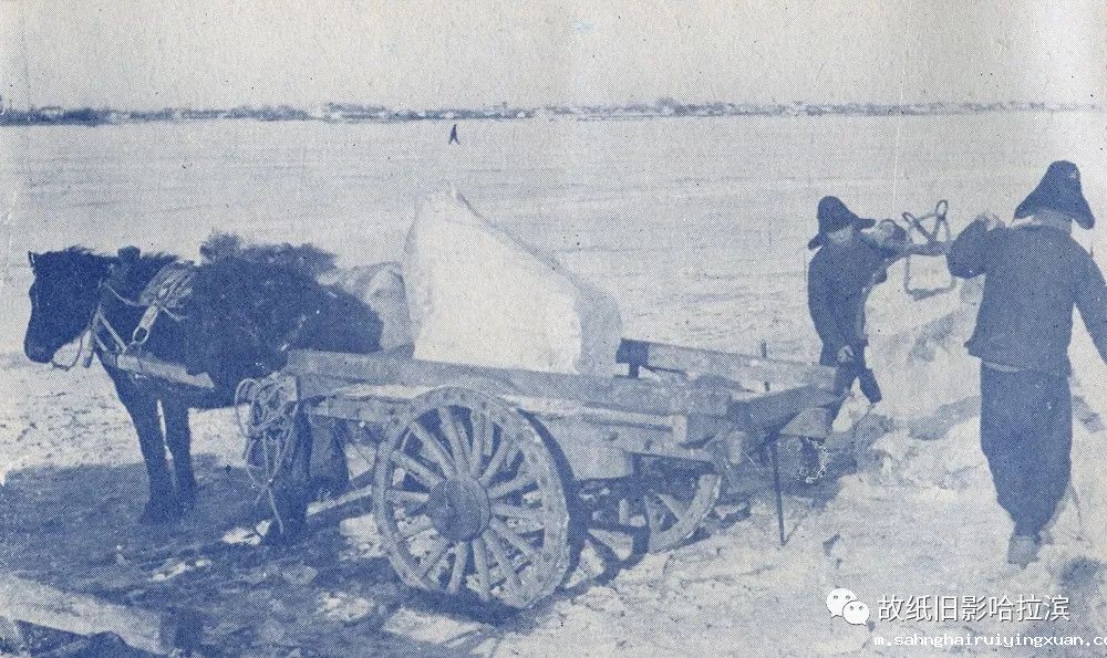 640 (10).jpg 640 (10).jpg