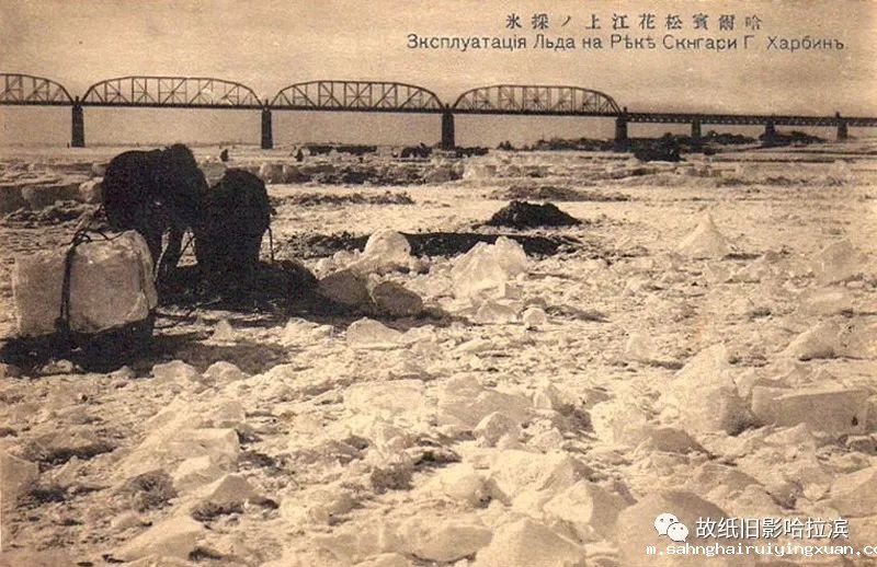 640 (13).jpg 640 (13).jpg