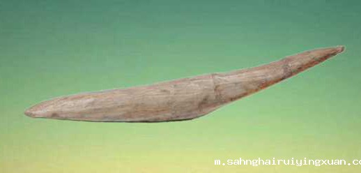 494778164549.jpg 494778164549.jpg