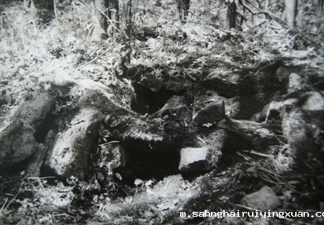 658e305178568.png 658e305178568.png