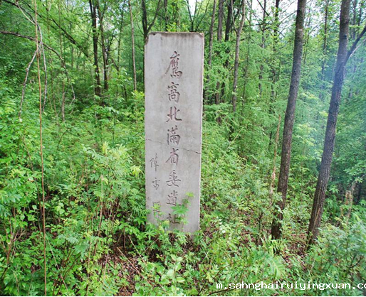 658e31973f7d4.png 658e31973f7d4.png