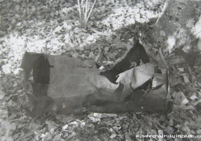 658e31d573c51.png 658e31d573c51.png