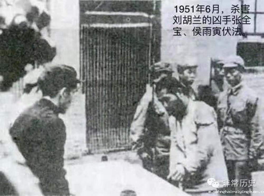 6628a6619e0e2.jpg 6628a6619e0e2.jpg