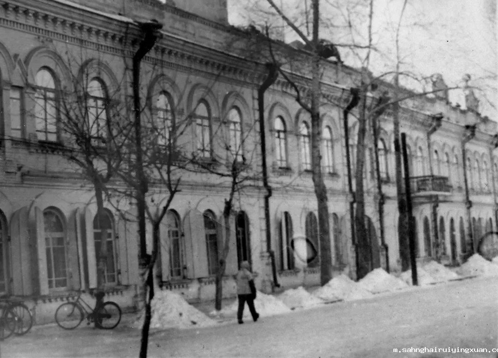 662dac070107a.jpg 662dac070107a.jpg