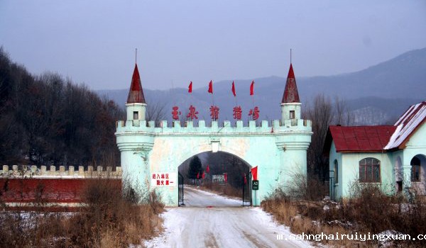 663f28046ba8e.jpg 663f28046ba8e.jpg