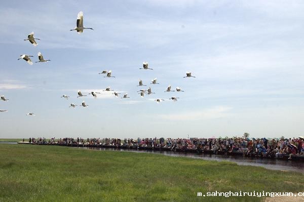 663f34957021e.jpg 663f34957021e.jpg