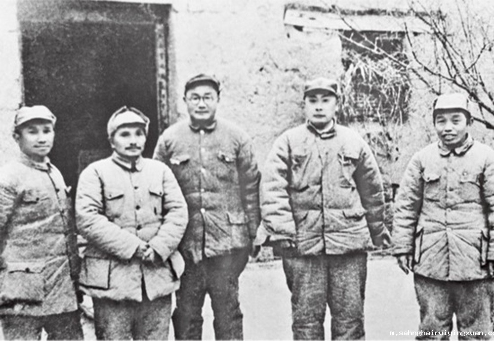 66c68a818df93.jpg 66c68a818df93.jpg