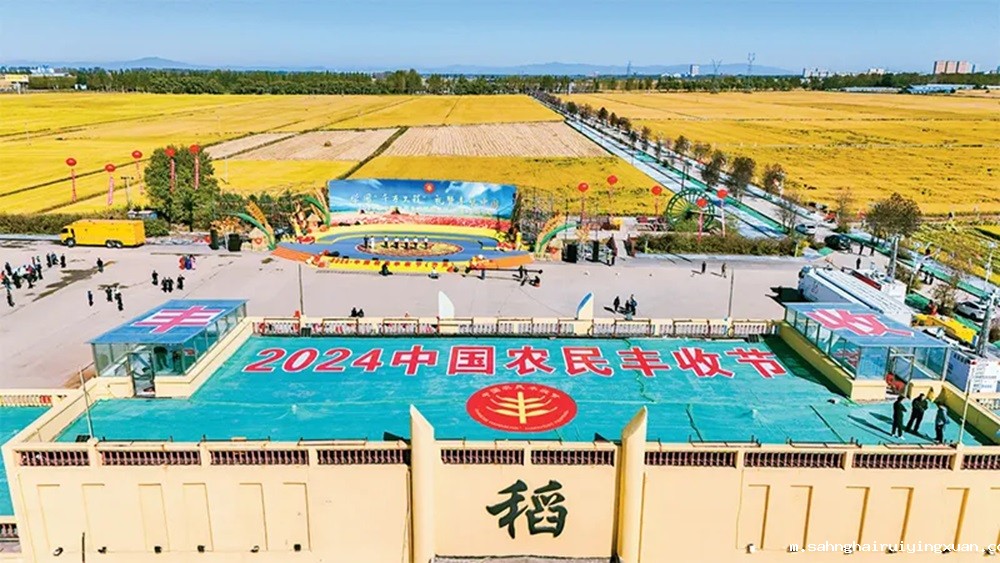 6705d1c339494.jpg 6705d1c339494.jpg