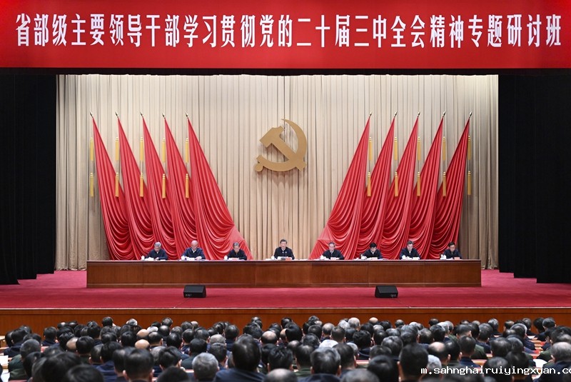 674d2ae9069bc.jpg 674d2ae9069bc.jpg