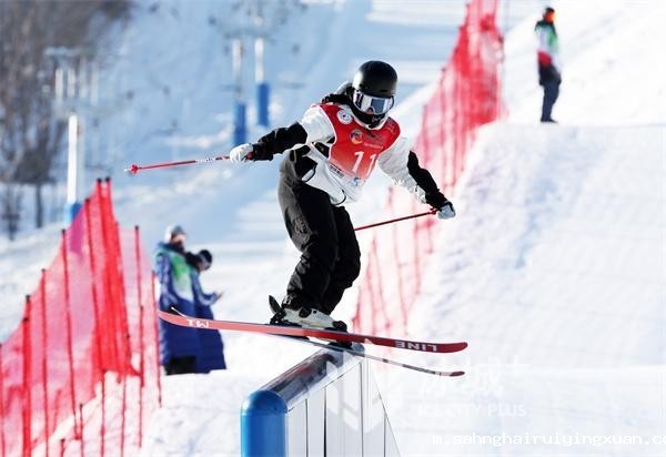 6795c960c5641.jpeg 6795c960c5641.jpeg